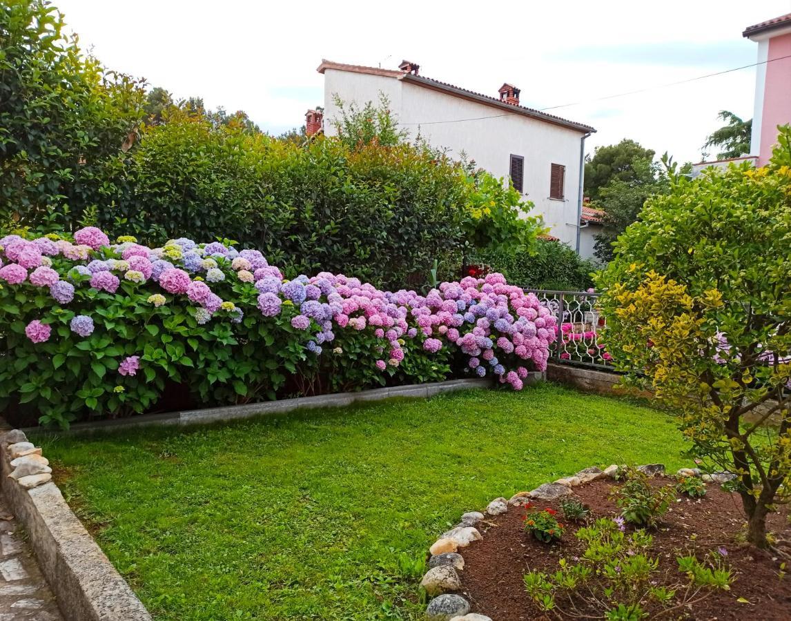 Apartments Villa Katana Poreč Exterior foto